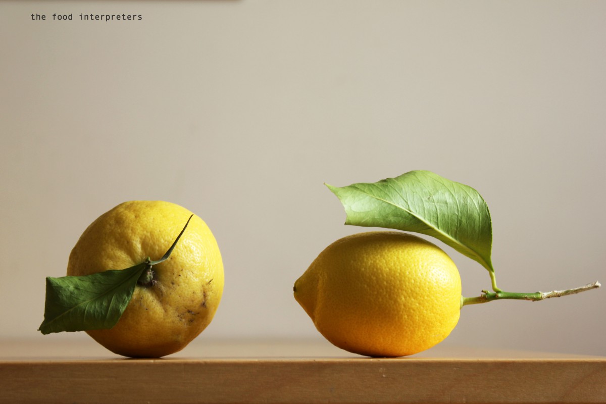 Where lemons grow | the food interpreters