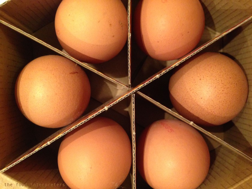 eggs1