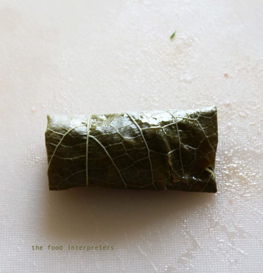 stuffed vine leaves